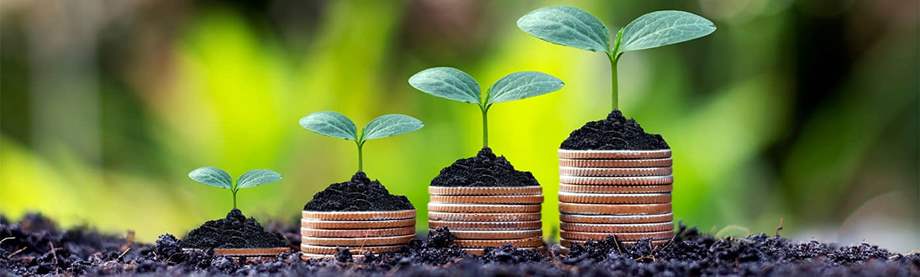 Different sized potted plants symbolizing short-term and long-term investment strategies.