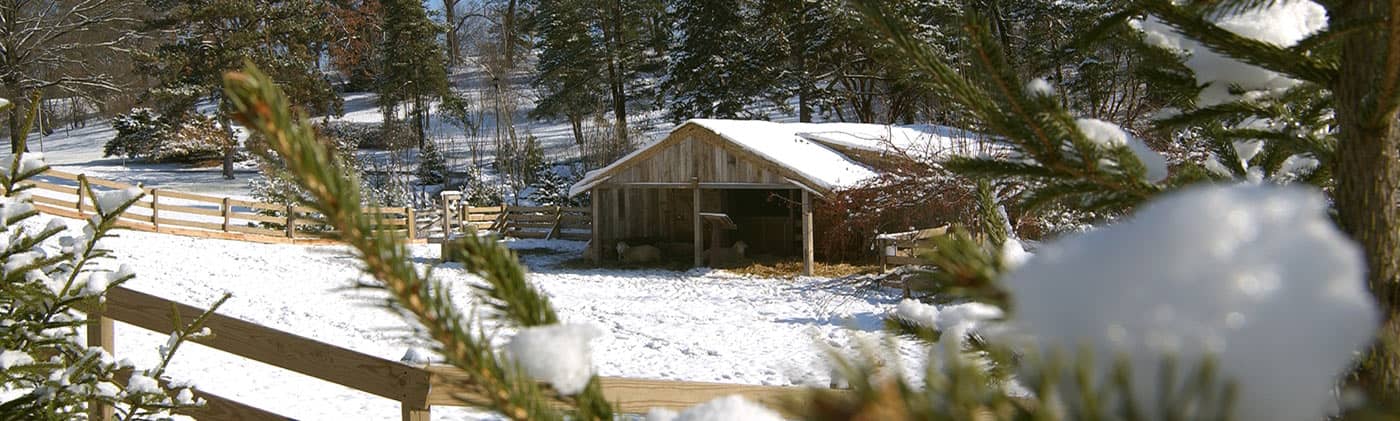 Crib-snow-lg